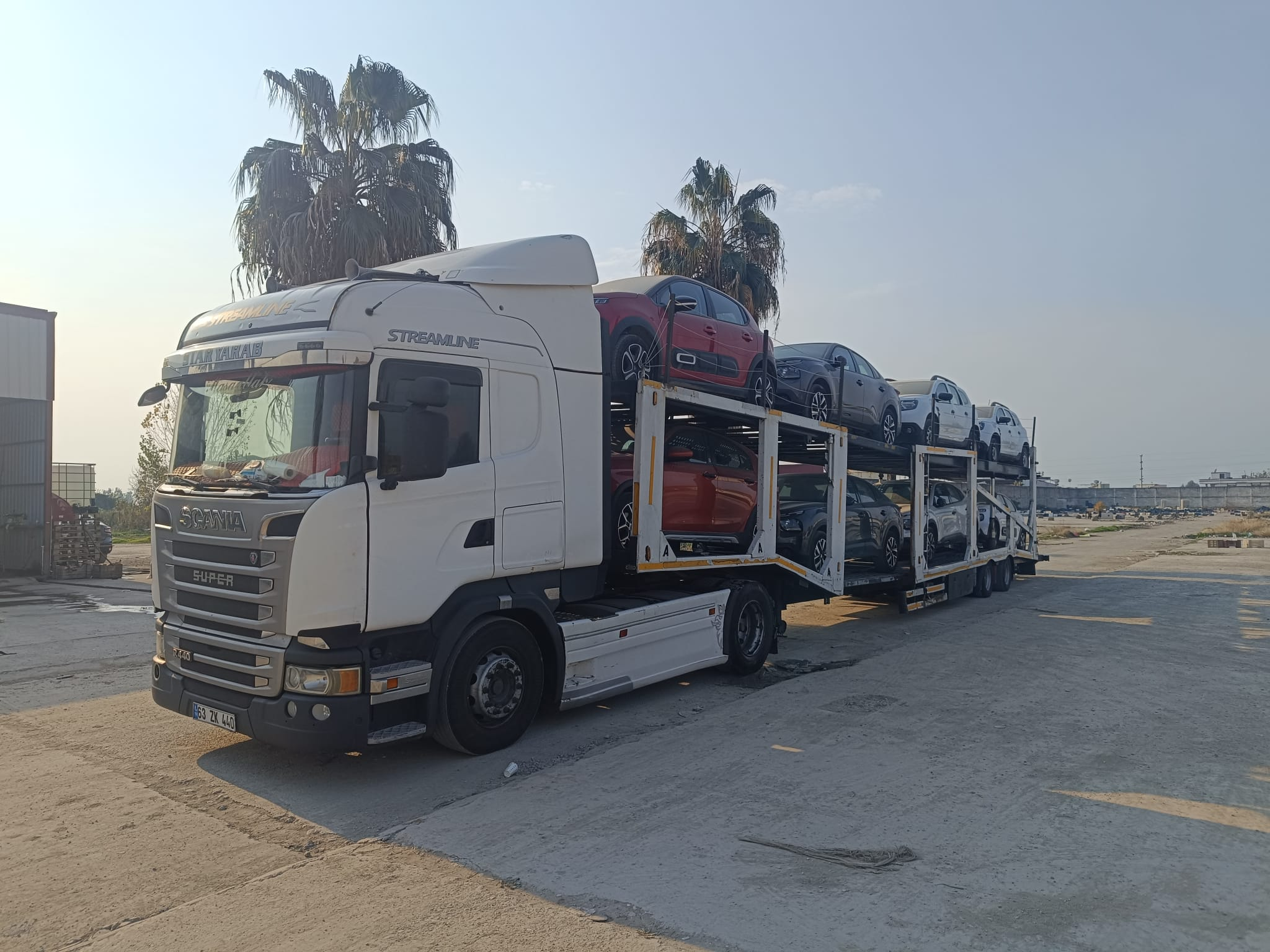 Dervişoğlu Lojistik araç taşıyıcı - palmiye